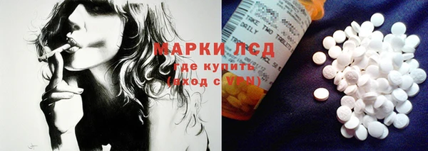 индика Кукмор