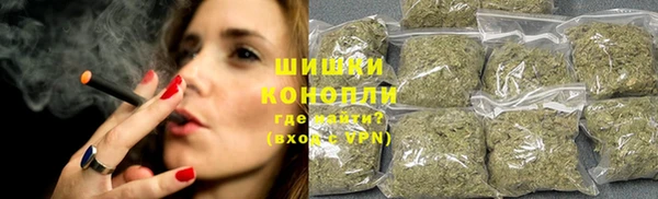 индика Кукмор