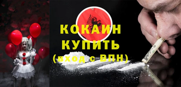 дживик Кулебаки