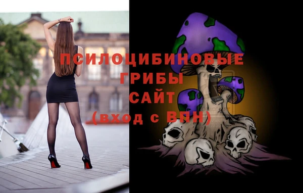 индика Кукмор