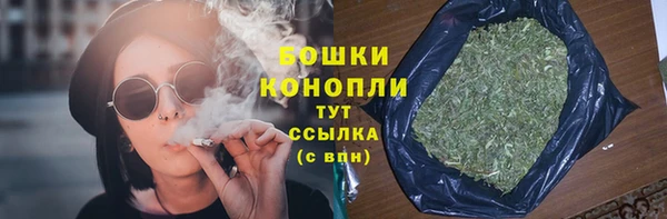 гашик Ладушкин