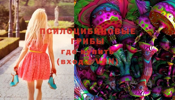 индика Кукмор
