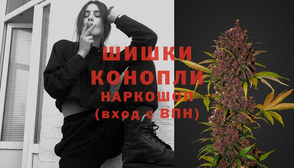 дживик Кулебаки
