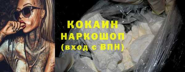 индика Кукмор