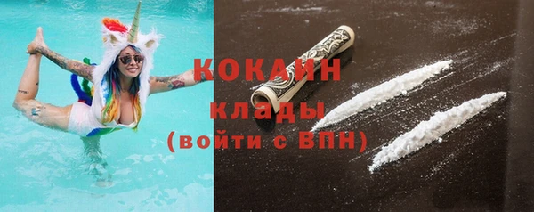 индика Кукмор