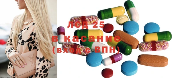 индика Кукмор