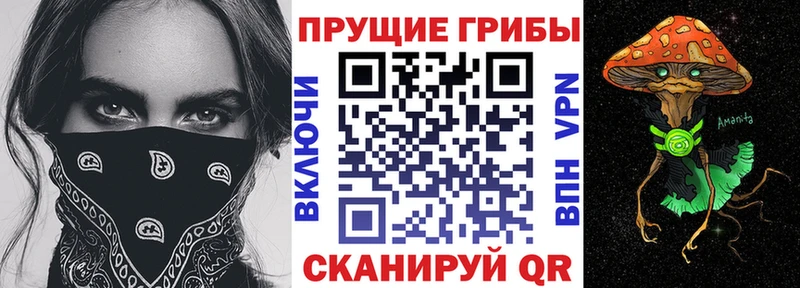 Галлюциногенные грибы Cubensis  KRAKEN зеркало  Малгобек 
